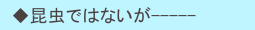 　◆昆虫ではないが-----
