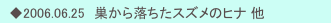 　◆2006.06.25　巣から落ちたスズメのヒナ 他