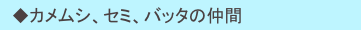 　◆カメムシ、セミ、バッタの仲間