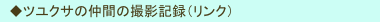 　◆ツユクサの仲間の撮影記録（リンク）