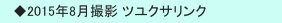 　◆2015年8月撮影 ツユクサリンク