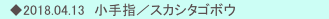 　◆2018.04.13　小手指／スカシタゴボウ