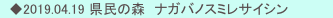 　◆2019.04.19 県民の森　ナガバノスミレサイシン