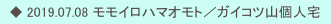 　◆ 2019.07.08 モモイロハマオモト／ガイコツ山個人宅