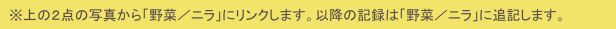 　※上の２点の写真から「野菜／ニラ」にリンクします。以降の記録は「野菜／ニラ」に追記します。