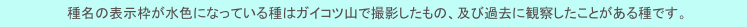　種名の表示枠が水色になっている種はガイコツ山で撮影したもの、及び過去に観察したことがある種です。
