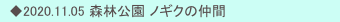 　◆2020.11.05 森林公園 ノギクの仲間