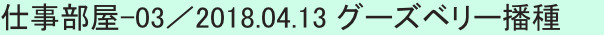 仕事部屋-03／2018.04.13 グーズベリー播種