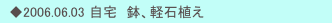 　◆2006.06.03 自宅　鉢、軽石植え