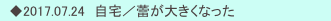 　◆2017.07.24　自宅／蕾が大きくなった