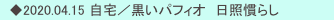 　◆2020.04.15 自宅／黒いパフィオ　日照慣らし