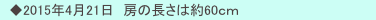 　◆2015年4月21日　房の長さは約60ｃｍ