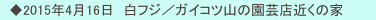 　◆2015年4月16日　白フジ／ガイコツ山の園芸店近くの家