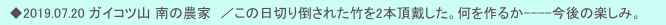 　◆2019.07.20 ガイコツ山 南の農家　／この日切り倒された竹を2本頂戴した。何を作るか----今後の楽しみ。