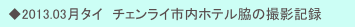 　◆2013.03月タイ　チェンライ市内ホテル脇の撮影記録