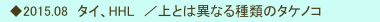 　◆2015.08　タイ、HHL　／上とは異なる種類のタケノコ