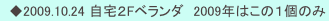 　◆2009.10.24 自宅２Fベランダ　2009年はこの１個のみ