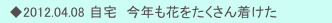 　◆2012.04.08 自宅　今年も花をたくさん着けた