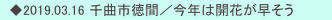 　◆2019.03.16 千曲市徳間／今年は開花が早そう