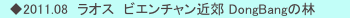 　◆2011.08　ラオス　ビエンチャン近郊 DongBangの林