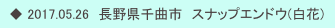 　◆ 2017.05.26　長野県千曲市　スナップエンドウ(白花)