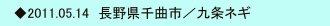  　◆2011.05.14　長野県千曲市／九条ネギ