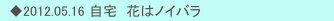 　◆2012.05.16 自宅　花はノイバラ