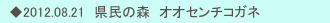 　◆2012.08.21　県民の森　オオセンチコガネ