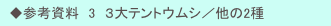 　◆参考資料　3　３大テントウムシ／他の2種