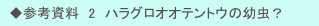 　◆参考資料　2　ハラグロオオテントウの幼虫？