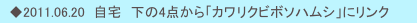 　◆2011.06.20  自宅　下の4点から「カワリクビボソハムシ」にリンク