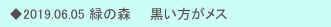 　◆2019.06.05 緑の森　　黒い方がメス