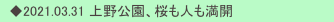　◆2021.03.31 上野公園、桜も人も満開