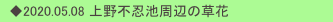 　◆2020.05.08 上野不忍池周辺の草花
